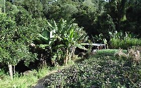 Pousada Da Cenira
